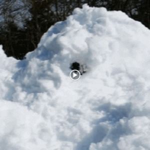 Meet your Posher, Cameron